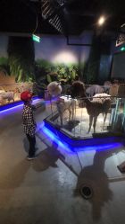 -未来动物城动物主题公园(大悦城店)