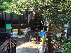 -张鸟园农家乐(张鸟园店)