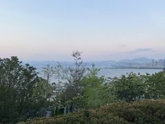 -洱海月湿地公园
