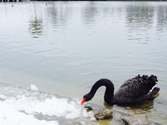 -同济大学(嘉定校区)