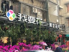 -溪岸路花鸟市场