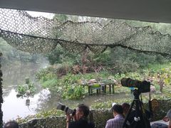 -新江湾城公园