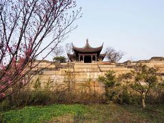 -广富林郊野公园