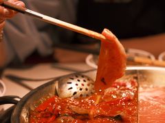 -小龙坎火锅(春熙太古里店)