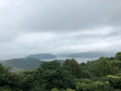 -黄贤森林公园