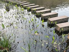 -重庆彩云湖湿地公园