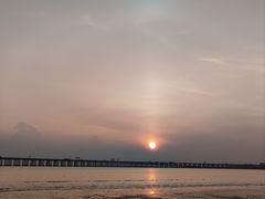 -宝安西湾红树林湿地公园