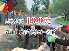 -前小桔亲子创意农场·草莓采摘·露营烧烤