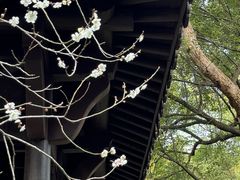 -杭州植物园