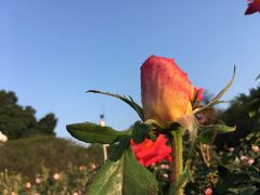 -人民公园(罗湖区)