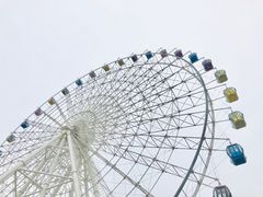-琴岛之星摩天轮