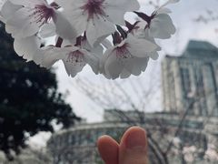 -江南大学(蠡湖校区)