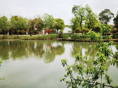 -沙家浜风景区