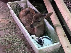 -正佳雨林生态植物园