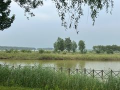 -野鸭湖国家湿地公园