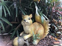-深圳野生动物园