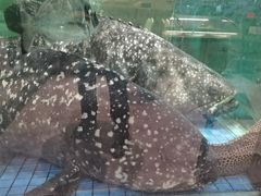 -聚福宝合苑食府(南头镇店)