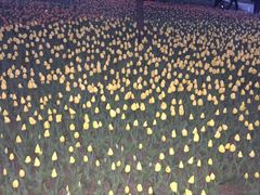 -长春公园(普阳街道)