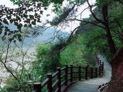 -羚羊峡古栈道森林公园
