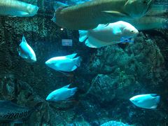 -太平洋海底世界