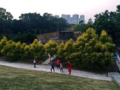 -中山市树木园