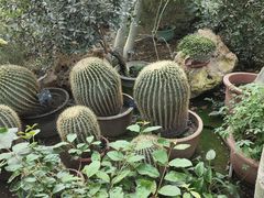 -国家植物园南园