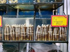 -蚝专家(北滘店)