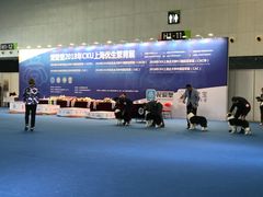 -东浩兰生上海世博展览馆