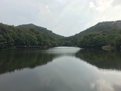-白马涧龙池景区