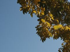 -墨池公园
