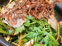 菌菇芝麻菜猪舌-SHAN山(前滩太古里店)