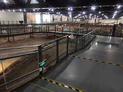-南越王博物院(王宫展区)