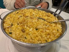 -丁老爷子苏香圆