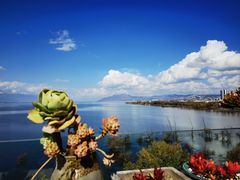 -野菌皇海景野生菌火锅(滨海大道店)