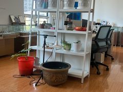 -云镜眼镜加工中心(南环路店)