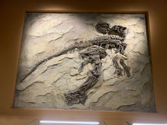 -辽宁古生物博物馆
