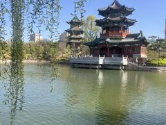-迎泽公园
