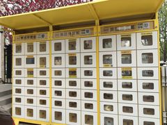 -北京大学肿瘤医院