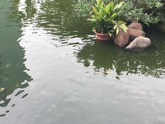 -九龙公园