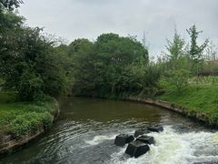 -白鹭湾湿地公园