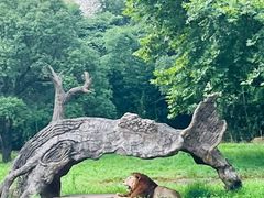 -杭州野生动物世界