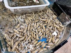 -鑫渔港海鲜本地菜·山海关浑锅(东戴河店)