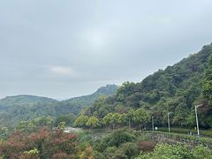 -火炉山森林公园