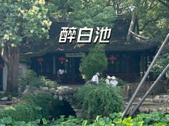 -上海醉白池公园