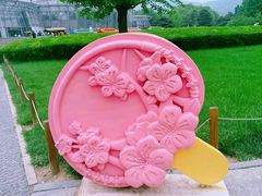 -国家植物园