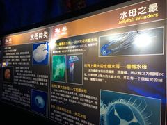 -台州海洋世界