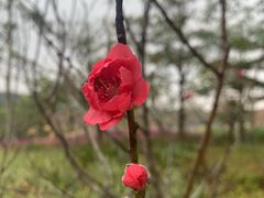 -清远熹乐谷温泉度假酒店