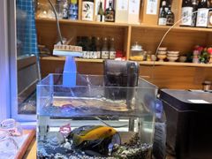 -鳗鲔料理小馆
