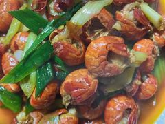 -堕落小龙虾.盆盆蟹(兰州旗舰店)