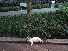 -晓港公园
